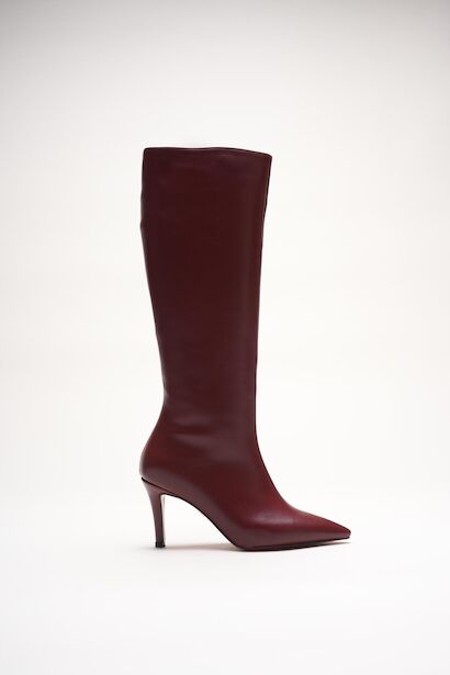 Kadın Sivri Burun Kısa Topuklu Çizme Zelda 